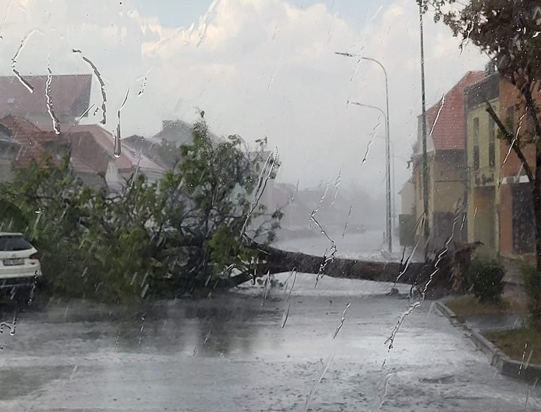 Traficul este blocat în zona semicentrală a Brașovului din cauza condițiilor meteo: furtuna a scos din rădăcini un copac FOTO