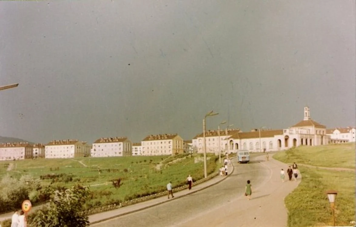 corvinul