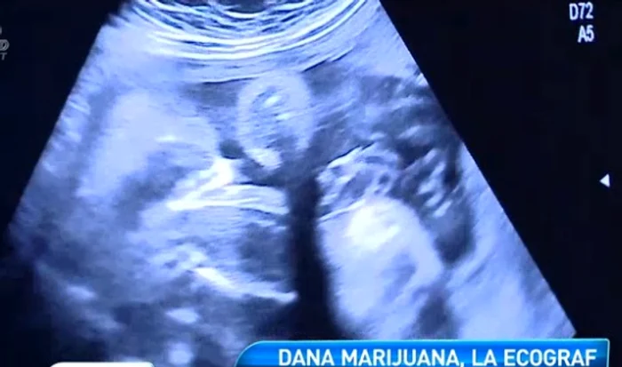 Dana Marijuana (captura La Maruta)