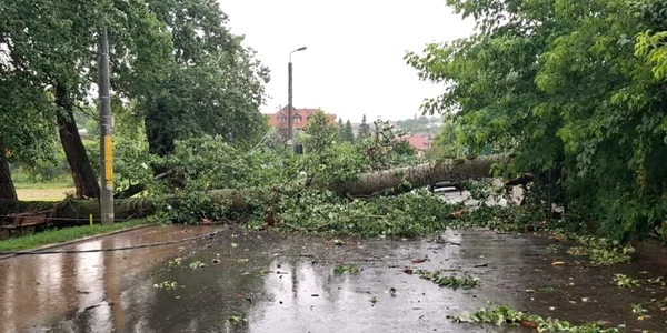 plop iasi foto isu Iași jpg