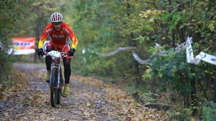 Pădurea Băneasa nu va fi transformată în parc