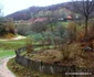 Drumul spre Fundătura Ponorului Foto Daniel Guță ADEVĂRUL (5) jpg