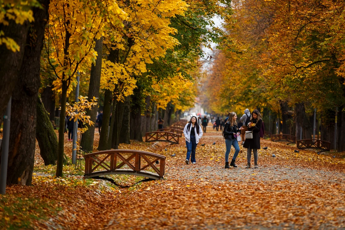 Vremea bună continuă încă o săptămână FOTO: Facebook/Primăria Cluj Napoca