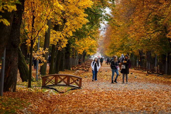 Vremea bună continuă încă o săptămână FOTO: Facebook/Primăria Cluj Napoca