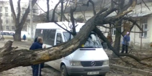 Microbuzele își vor schimba traseul