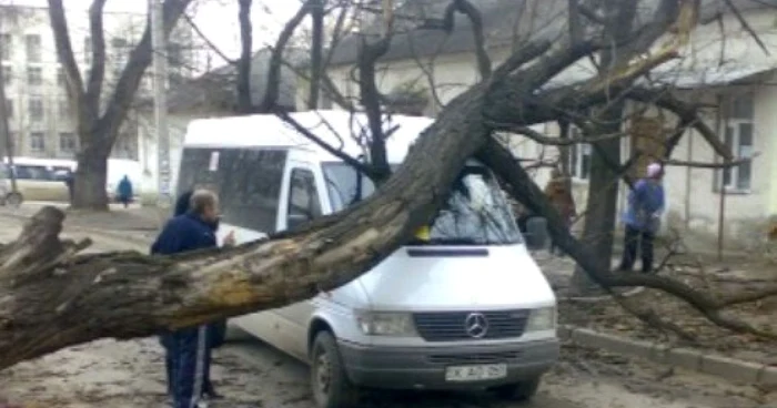 Microbuzele își vor schimba traseul