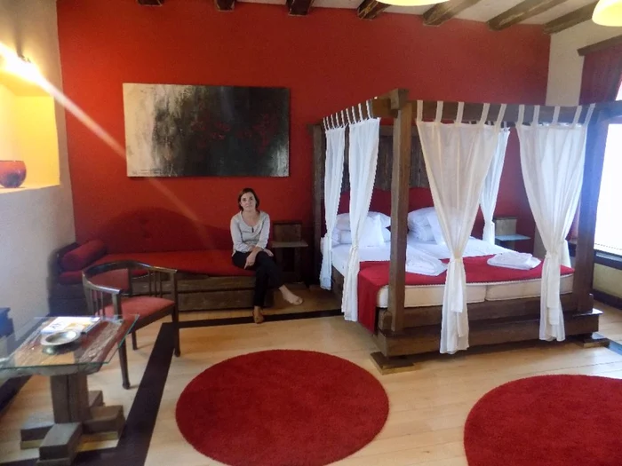 daniel castle talisoara