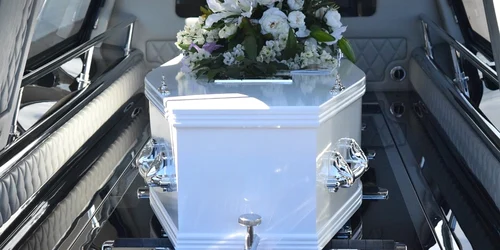 cosciug foto pixabay