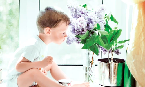 1 52019 original jpg jpeg