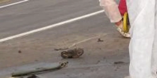 Impactul a fost atât de violent încât un picior al femeii a fost amputat