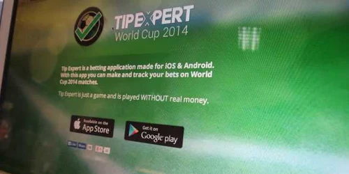 tip expert