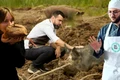 banner porc jpg