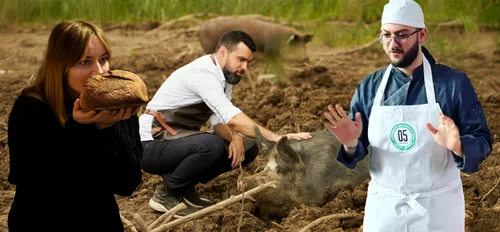 Vedetele câștigă bani și din afaceri 