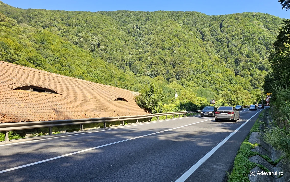 Valea Oltului Zona Lazaret  Foto Daniel Guță ADEVĂRUL (12) jpg
