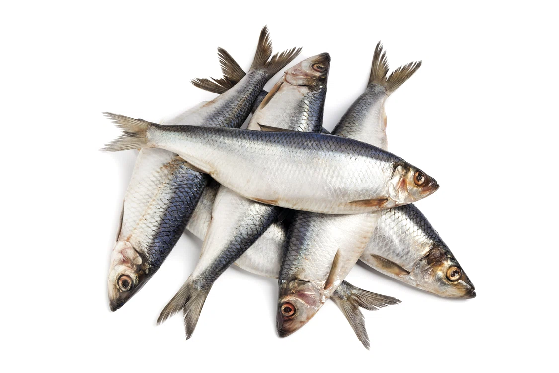 Peștele gras conţine acizi graşi esenţiali Omega-3, care pot preveni cancerul şi bolile cardiovasculare