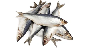 shutterstock 75753595 0 jpeg