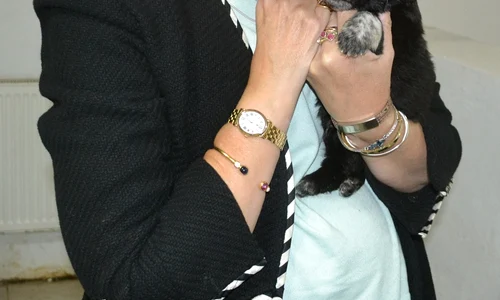 Principesa Maria vizita la Arche Noah Vintu de Jos Alba 14 octombrie 2017 3 jpeg