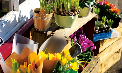 1 66851 original jpg jpeg