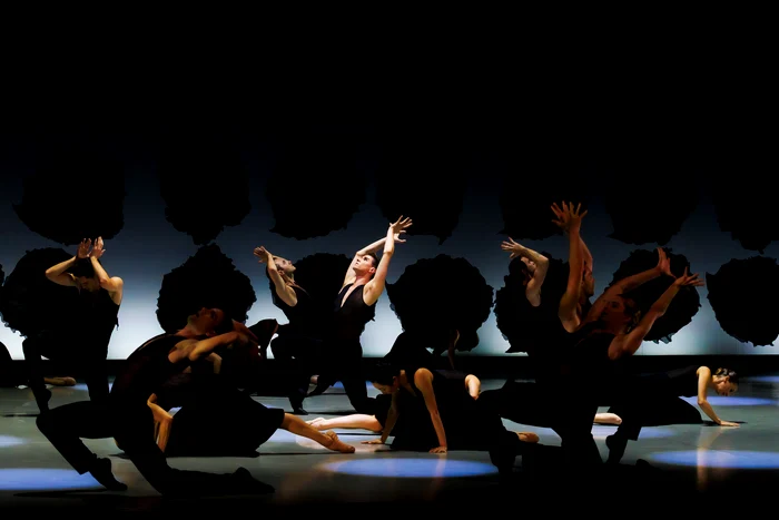 Foto: Petrică Tănase / George Enescu Festival