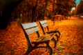 benches 560435 1280 jpg