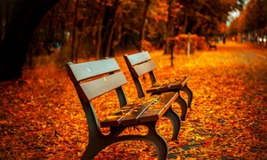 benches 560435 1280 jpg