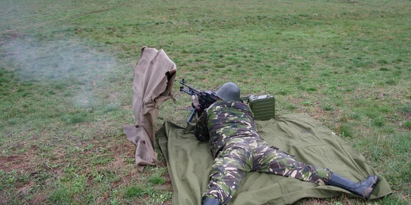 Militari profesionişti