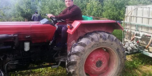 pomicultor malu cu flori