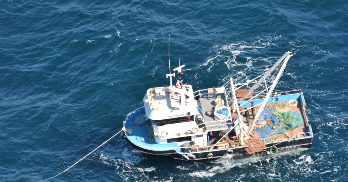 Pescadorul Cormoran 2