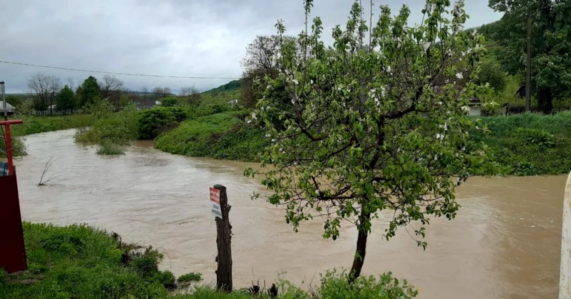 inundatii bacau