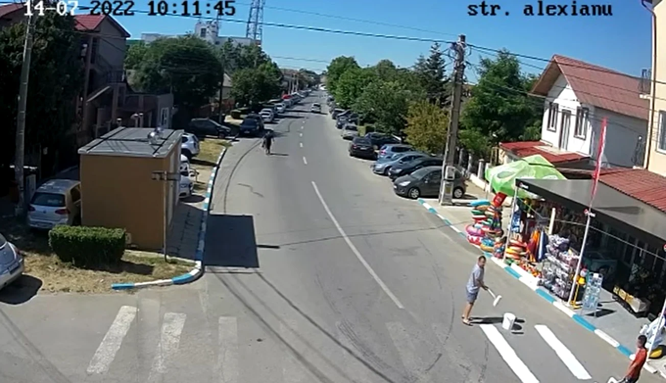 Trecere de pitoni improvizată în Costinești - captură video