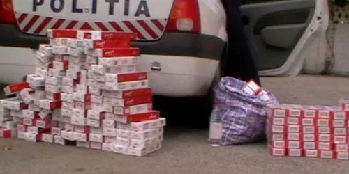 Au fost date peste 270 de sancţiuni contravenţionale