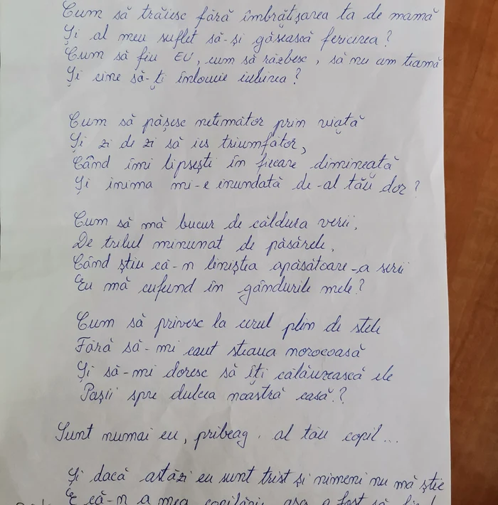 Profesorii care evaluează lucrările sunt atenți în primul rând la mesaj FOTO: A.M.