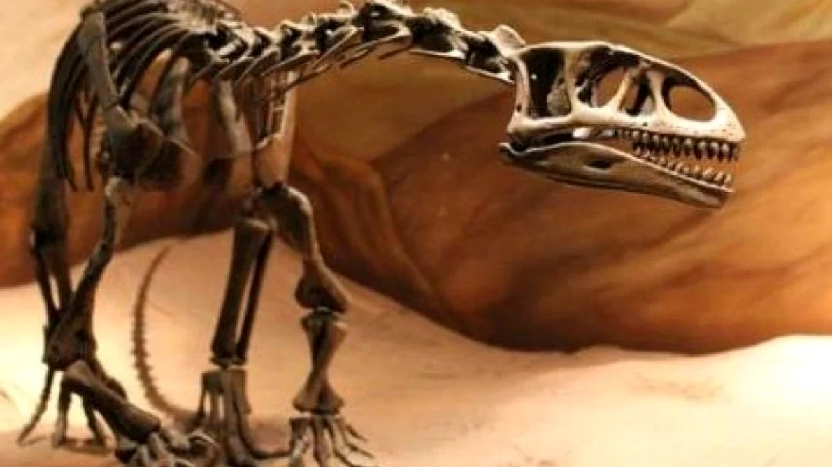 O nouă specie de dinozaur a fost descoperită în Argentina jpeg