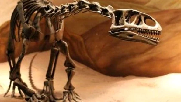 O nouă specie de dinozaur a fost descoperită în Argentina jpeg