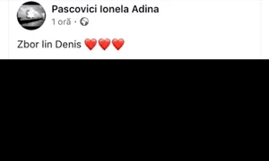 Mesajul Ionelei Pașcovici, mama lui Denis  jpeg