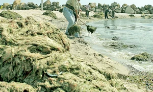 CLIIMA20120628 0073 1 jpeg