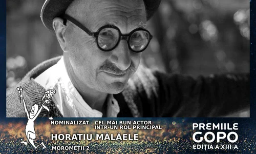 horatiu malaele morometii jpeg