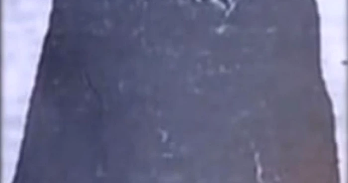 Baba Anuica FOTO capturi RTS