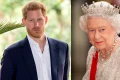 Prince Harry Queen webp