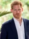 Prince Harry Queen webp
