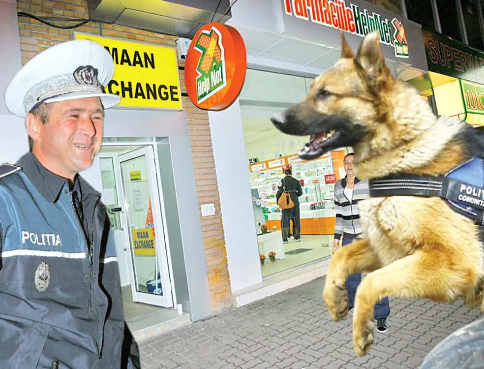 
    Zec are trei ani şi  este “angajat” la  Poliţia Comunitară Sector 1  