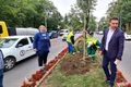 campanie de plantare in sectorul 6 primarul ciprian ciucu jpeg