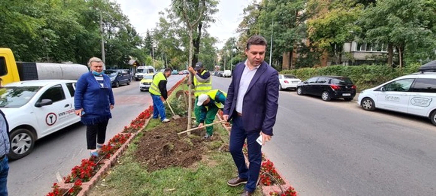 
    Primii arbori au fost plantați pe scuarul central, de pe strada Apusului, din MilitariFotografii: Primăria Sectorului 6  