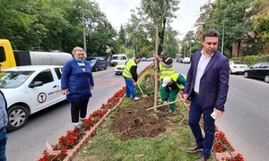 campanie de plantare in sectorul 6 primarul ciprian ciucu jpeg