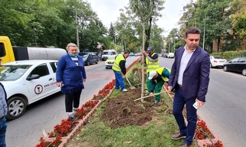 campanie de plantare in sectorul 6 primarul ciprian ciucu jpeg