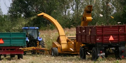 Accidentul s-a produs pe un teren agricol din comuna Dumbrava Roşie