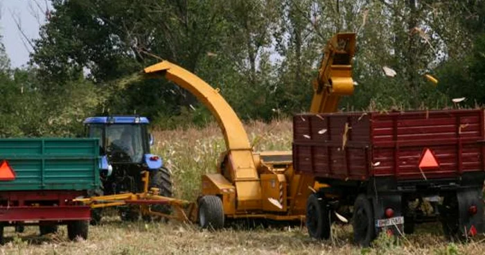 Accidentul s-a produs pe un teren agricol din comuna Dumbrava Roşie