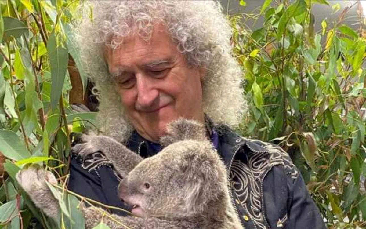 Brian May a cântat pentru un urs koala salvat din incendiile din Australia FOTO Facebook