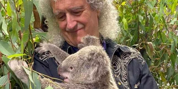 brian may a cantat pentru un urs koala salvat din incendiile din australia foto facebook