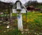 Satul Furcșoara  Foto Daniel Guță  ADEVĂRUL (27) jpg